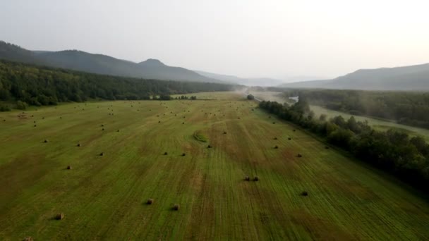 Roads and fields of agriculture — Stock Video