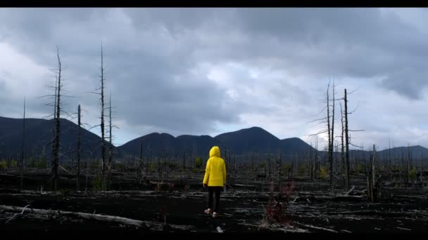 A man in a yellow cloak on scorched earth — Stock Video