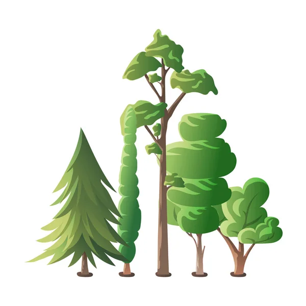 Varios Árboles Forestales Pino Ciprés Picea Roble — Vector de stock