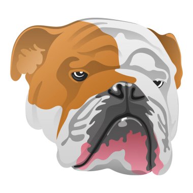 Bulldog 'un başı. Tişört ve giysiler için hayvan baskısı.