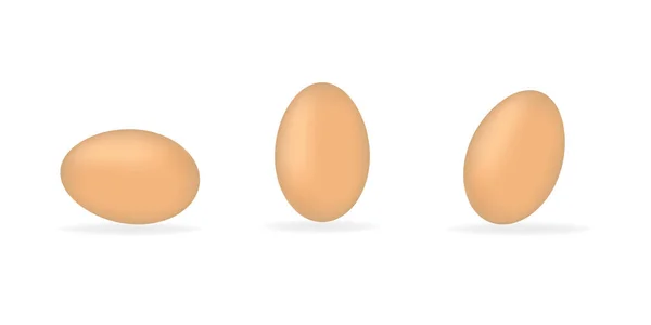Eggs White Background Vector — Stockový vektor