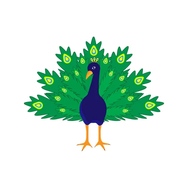 Cheerful Cartoon Peacock White Background Vector Illustration — Stock vektor