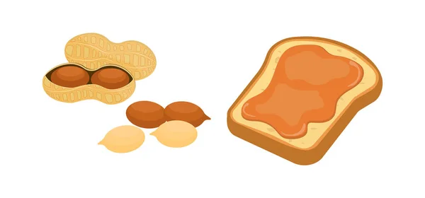Ilustração Vetorial Amendoim Manteiga Amendoim Conjunto Vetorial Petiscos Amendoim —  Vetores de Stock