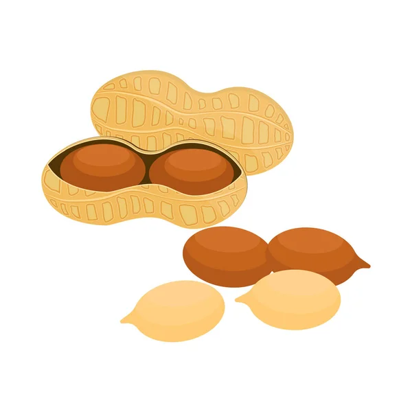 Vector Erdnüsse Cartoon Stil Für Template Etikett Verpackung Snack Und — Stockvektor