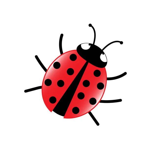 Ladybug Vectorillustratie Geïsoleerd Witte Achtergrond — Stockvector