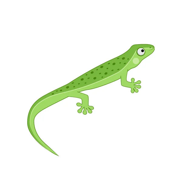 Kertenkele, vektör çizimi beyaz arkaplanda izole edildi, sürüngen