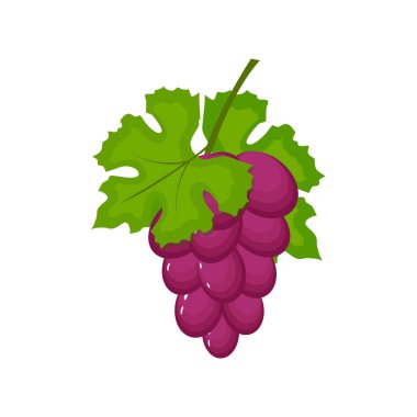 Bunch of wine grapes with leaves isolated on white backgrond. Grape icon in flat cartoon style. Fresh berry, raw materials fruit. Vector illustration