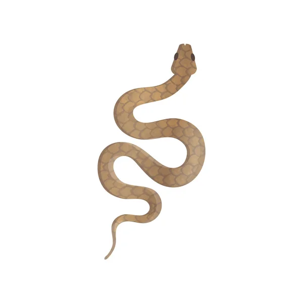 Serpiente Víbora Vector Aislado Sobre Fondo Blanco — Archivo Imágenes Vectoriales