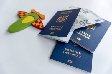 travel passport with evro money and aircraft