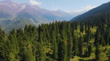 flight over the forest and mountains in the region of Svaneti Georgia
