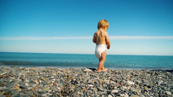 Un petit enfant dans une couche seul sur le bord de la mer, jouant avec des pierres avec son dos à la caméra — Video