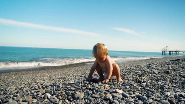 A small child in a diaper alone on the beach plays with stones and raises his hands up — Stock Video