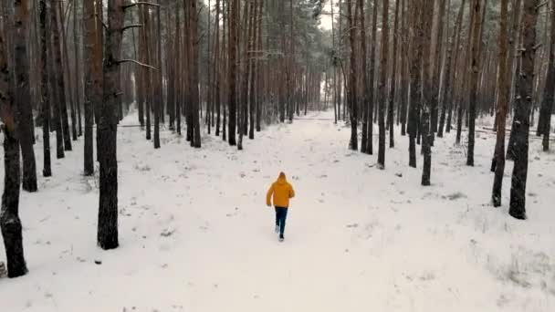 Mężczyzna biegnie w śnieżnym lesie sosnowym plecami do kamery. — Wideo stockowe