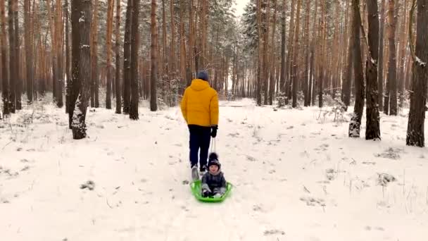 Ένας πατέρας παίρνει ένα παιδί σε ένα έλκηθρο σε ένα χιονισμένο δάσος — Αρχείο Βίντεο