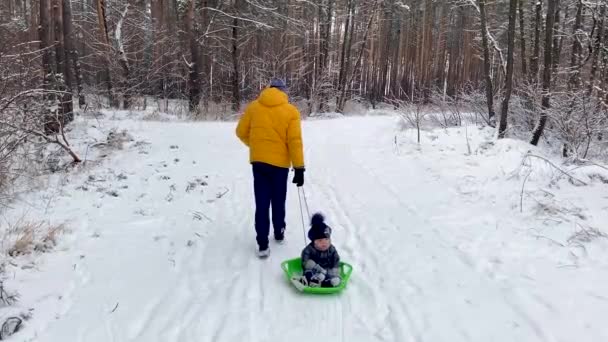 Ojciec zabiera dziecko na sankach w zaśnieżonym lesie — Wideo stockowe