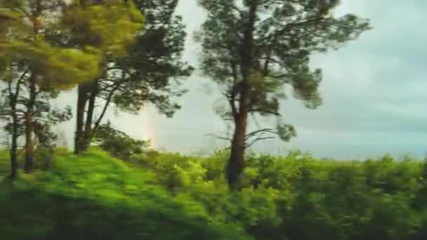 Съемка Красивого Летнего Пейзажа Радуги Движущегося Поезда Высококачественные Кадры — стоковое видео