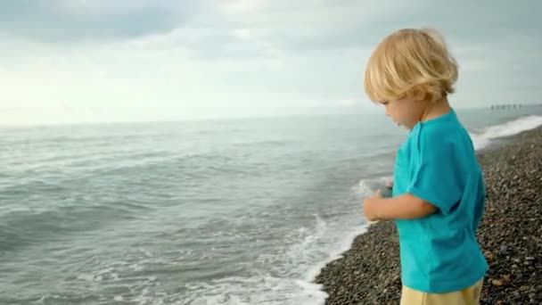 Niño Está Jugando Orilla Del Mar Arroja Piedras Agua Vacaciones — Vídeos de Stock