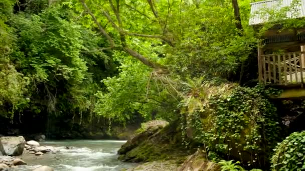 Dziki Górski Krajobraz Rzeki Drewnianą Altanką Szybki Czysty Przepływ Wspaniały — Wideo stockowe