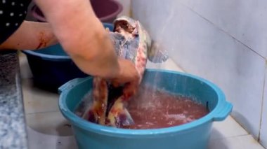 female hands wash large fish under water in a basin at the fish market. High quality 4k footage
