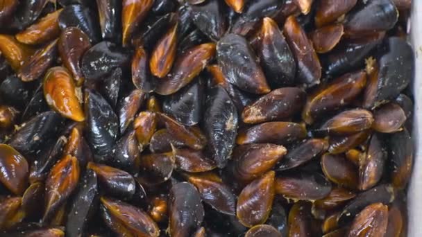 Top View Raw Sea Mussels Fish Market High Quality Footage — Wideo stockowe