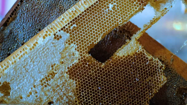 Honingraat Een Frame Boerenmarkt Buiten Hoge Kwaliteit Foto — Stockfoto