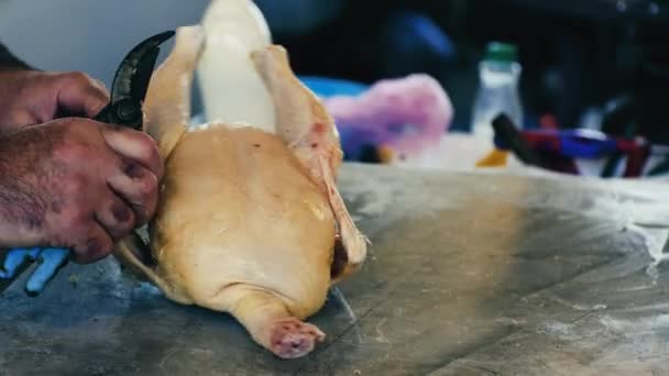 시장에서 닭고기를 자르고 사람의 손이었습니다 것으로 자르는 고품질 — 비디오