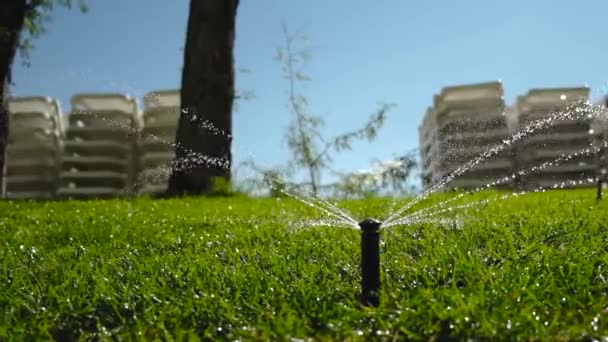 Automatisk Gräsmatta Vattning Trädgård Bevattning Sprinkler Vattning Gräsmatta Slow Motion — Stockvideo