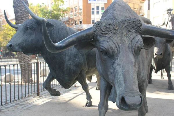 Statues Bulls Plaza Espaa Front Bullring Alicante — ストック写真