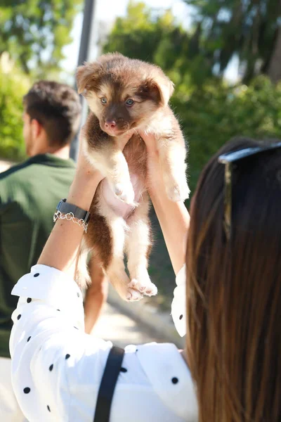 Koyu Saçlı Yakışıklı Bir Adam Yavru Köpeği Ikisi Çok Mutlu — Stok fotoğraf