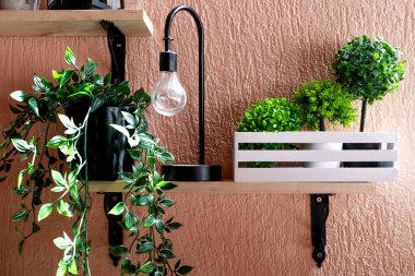 Asılan bitkilerle dolu terasta dekoratif fayanslar, bir ampul ve beyaz ahşap kutu.