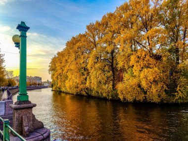 Kanal kıyısındaki sarı ağaçlar. Rusya Saint Petersburg