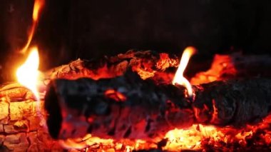  Şöminede huş ağacı yanıyor.