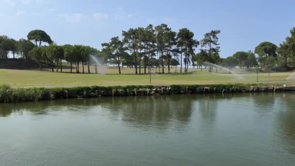 河岸草坪和高尔夫球场的自动浇灌 — 图库视频影像
