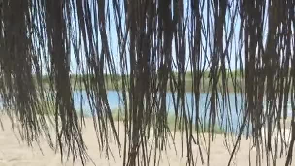 Pohled Řeku Písečnou Pláž Skrz Palmové Listy — Stock video
