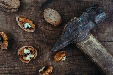 Çekiç ve fındıkla dolu bir hayat