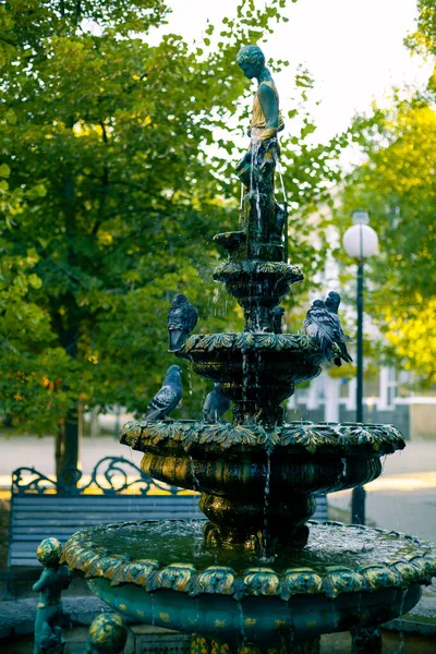 Graceful Fountain Soft Morning Light — Zdjęcie stockowe