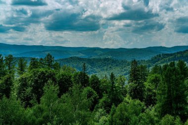 Cascades of clouds, mountains and forests