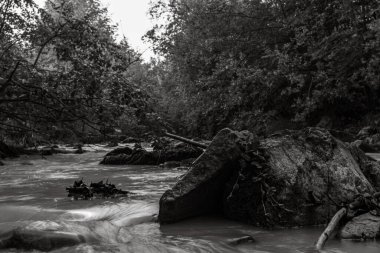 Sharp stones in a mountain stream