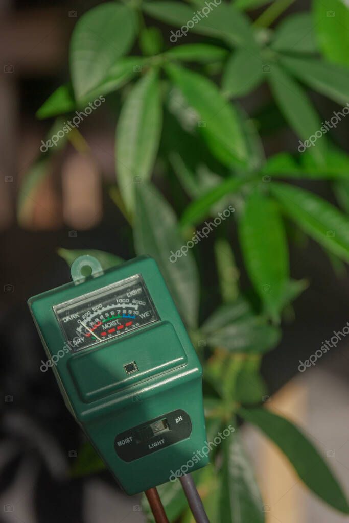 Humedad del suelo, luz y medidor de pH para plantas de interior que