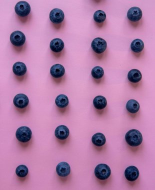 Pembe arka planda yaban mersini izole edilmiş, yaban mersinlerinin yakın plan görüntüsü.