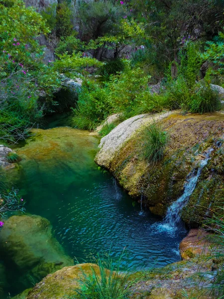 Polylimnio Wasserfall Märchenwald Mit Grünem Wasser — Stockfoto