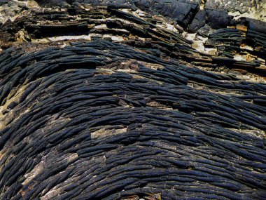 Volkanik kurutulmuş lav paralel dokuları