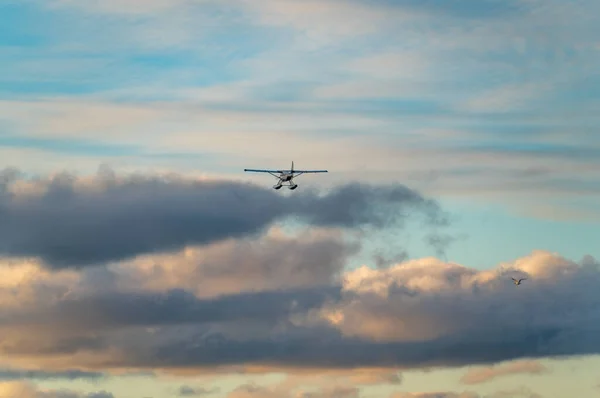 Seaplane Flying Far Sky Sunset — Photo
