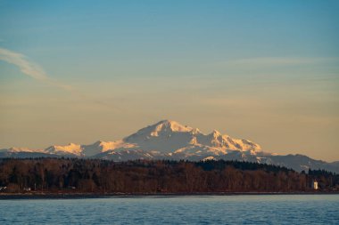 Mount Baker at sunset time with two wild geese flew by