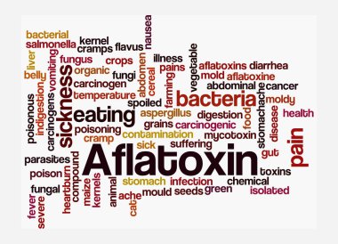 AFLATOXIN kavramına sahip Kelime Bulutu, beyaz arka planda izole.