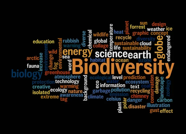 Word Cloud Biodiversity Koncepció Elszigetelt Fekete Alapon — Stock Fotó