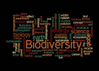 Biyoçeşitlilik kavramına sahip Kelime Bulutu, siyah bir arkaplanda izole.