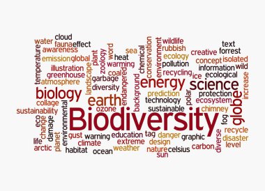 BIOVERSITY kavramına sahip Kelime Bulutu, beyaz arka planda izole.