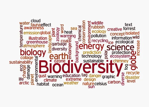 Word Cloud Met Biodiversiteit Concept Geïsoleerd Een Witte Achtergrond — Stockfoto