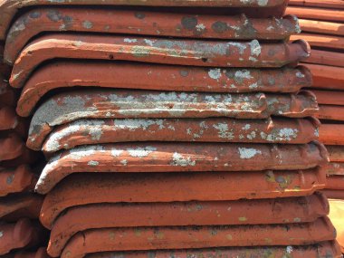  Mantarlarla kaplanmış kırmızı kiremitlerin sıralanması